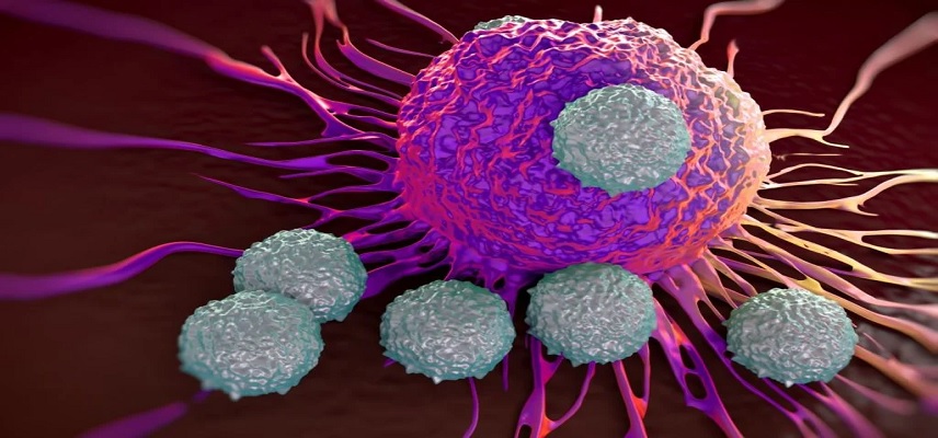 VYNE Therapeutics Receives FDA Clearance for IND Application of VYN202